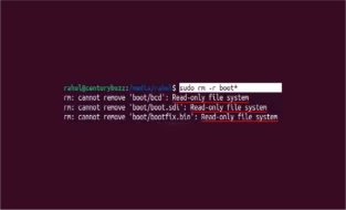 read only file system linux