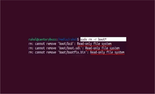 read only file system linux