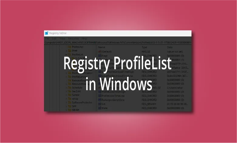 profile list registry state key